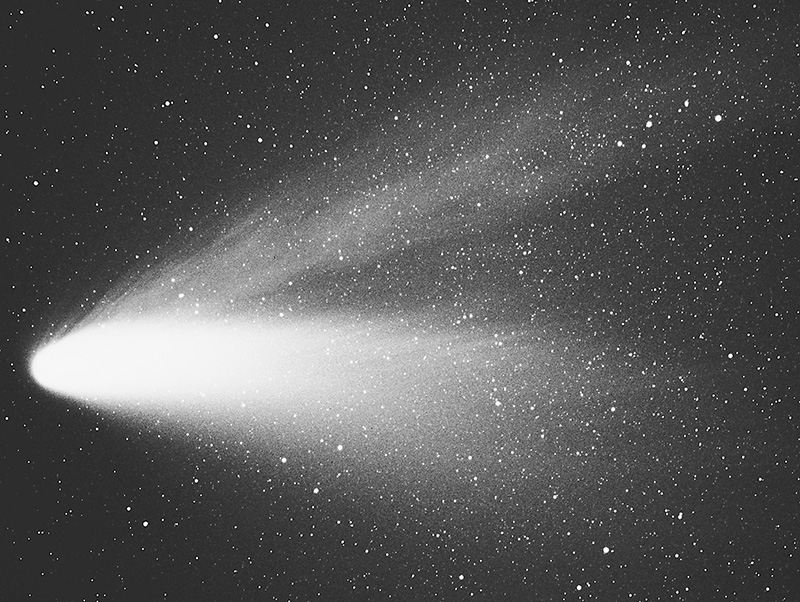 多数の星を背景に、明るい核から長い尾を伸ばす彗星の写真