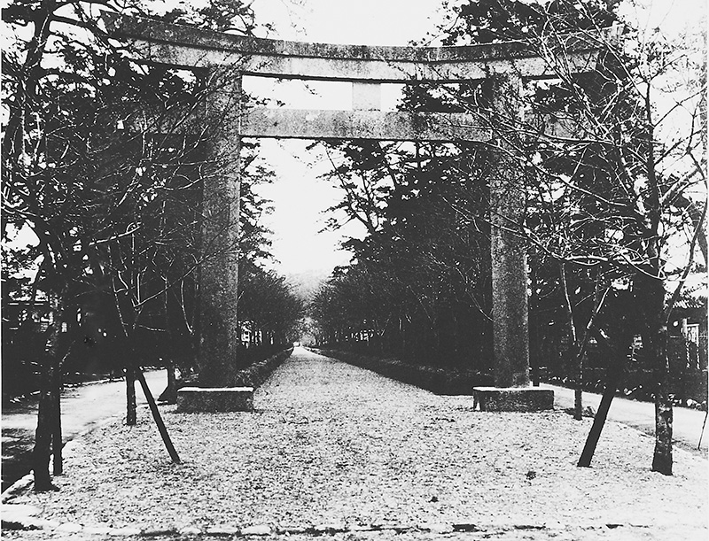 木々に囲まれた若宮小路の参道と石造りの鳥居を示す写真
