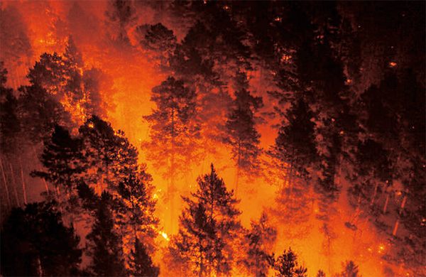 ロシア・シベリアの森林火災